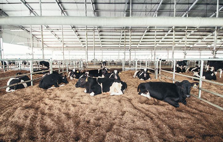 The Importance of High-Quality Livestock Health Products