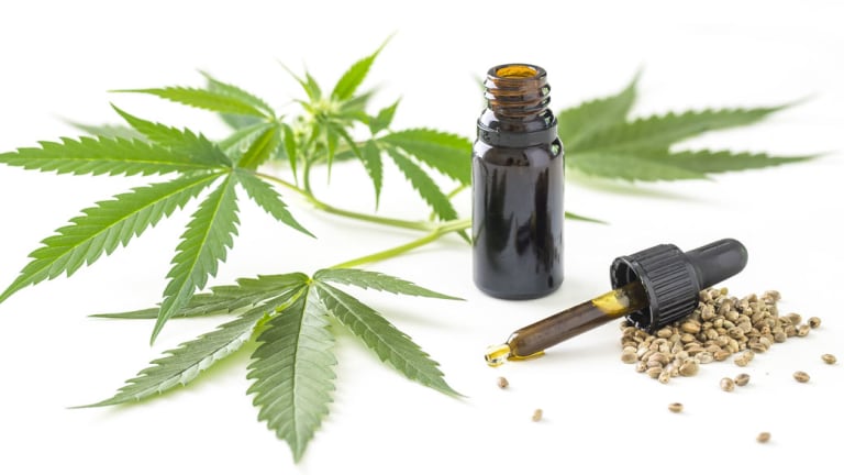 Planting and extracting health benefits from CBD